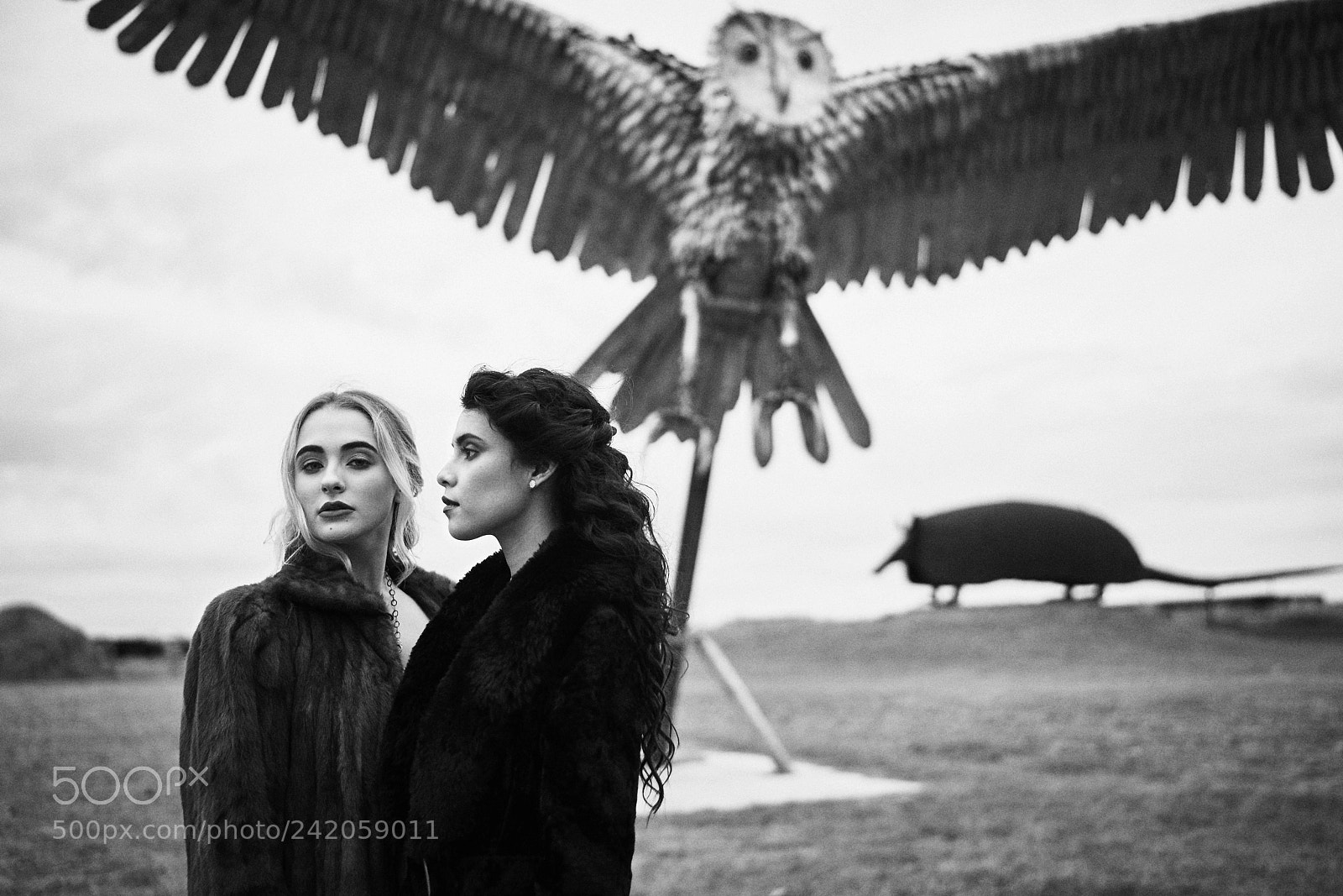 Sony a7R III sample photo. Lil owl photography