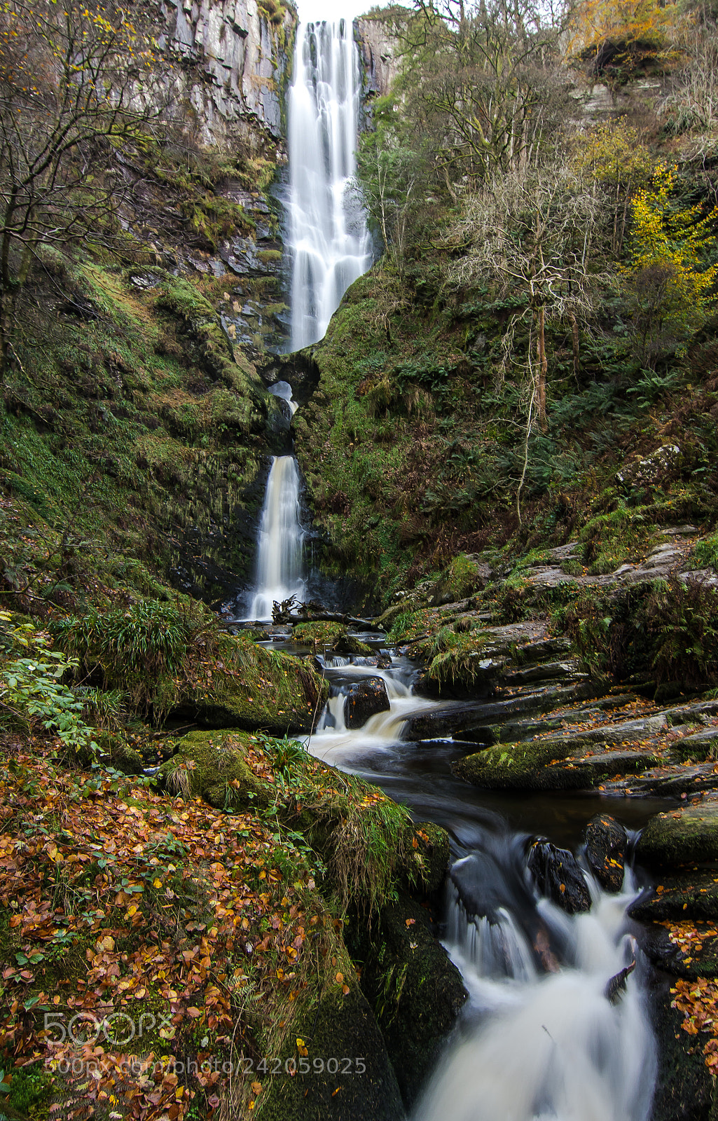 Nikon D7200 sample photo. A spectacular drop photography