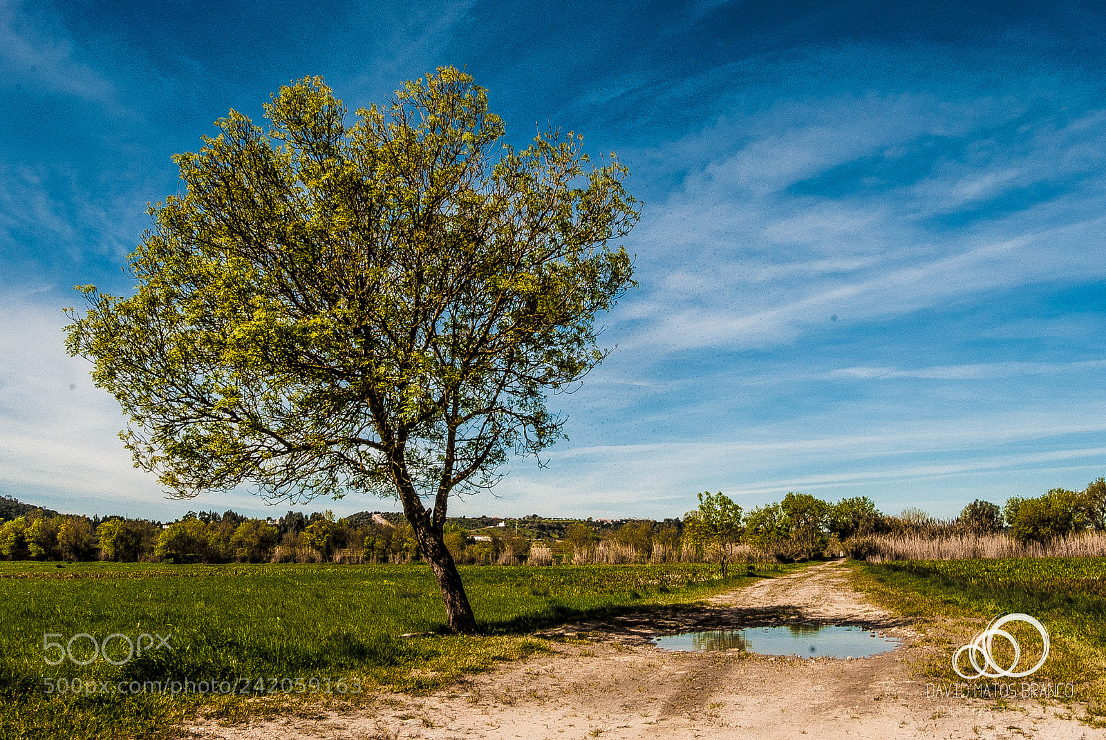 Nikon D80 sample photo. On the road to... photography