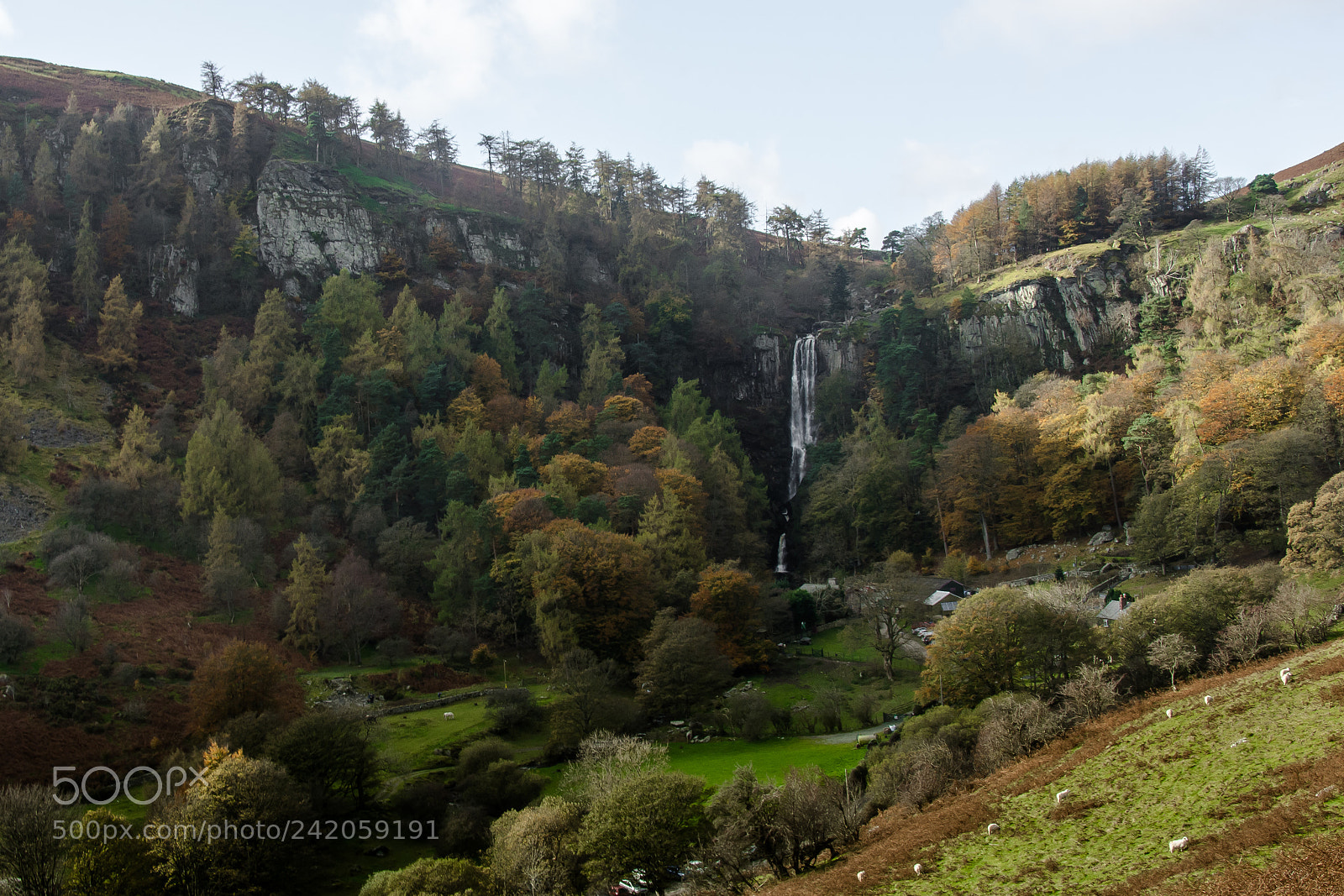 Nikon D7200 sample photo. Waterfall in autumn photography