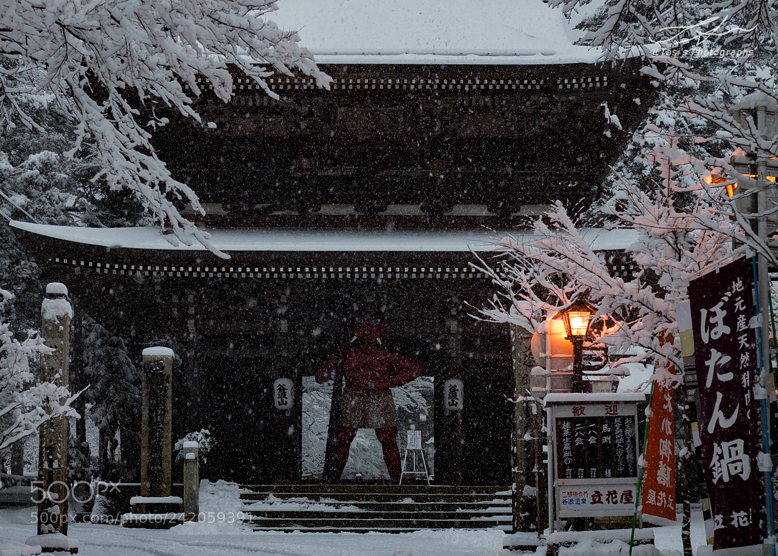 Ricoh GR sample photo. 山門にて photography