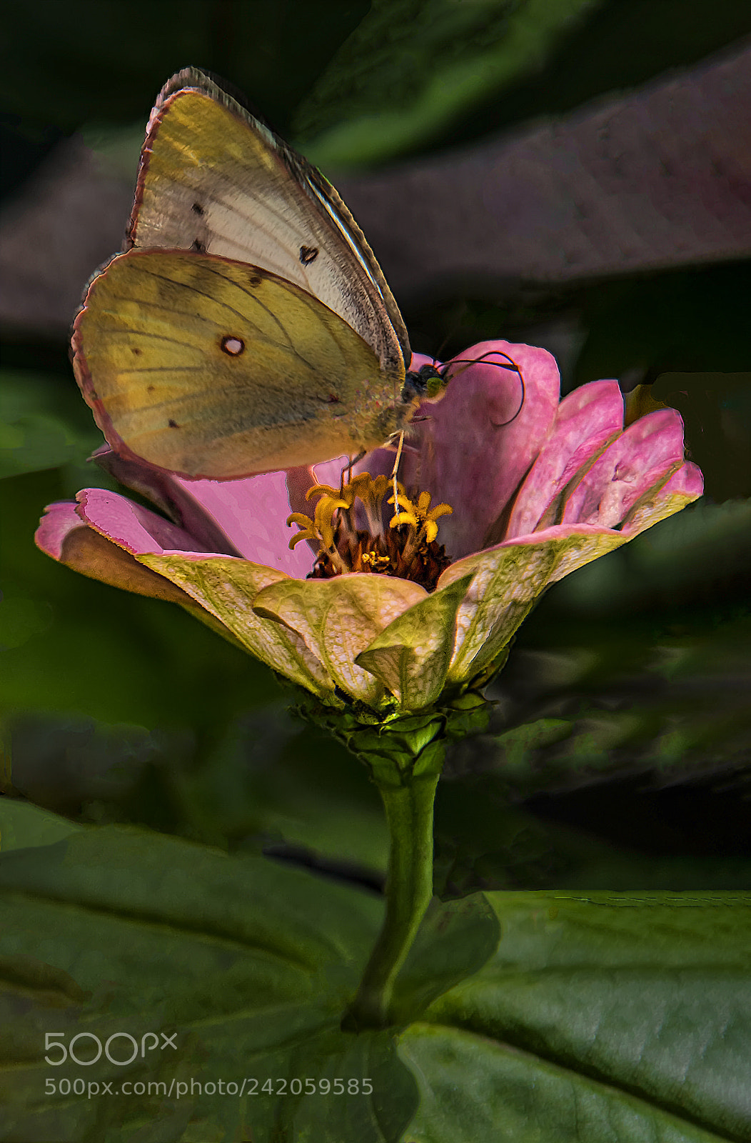 Canon EOS 5DS sample photo. Rest stop on a photography