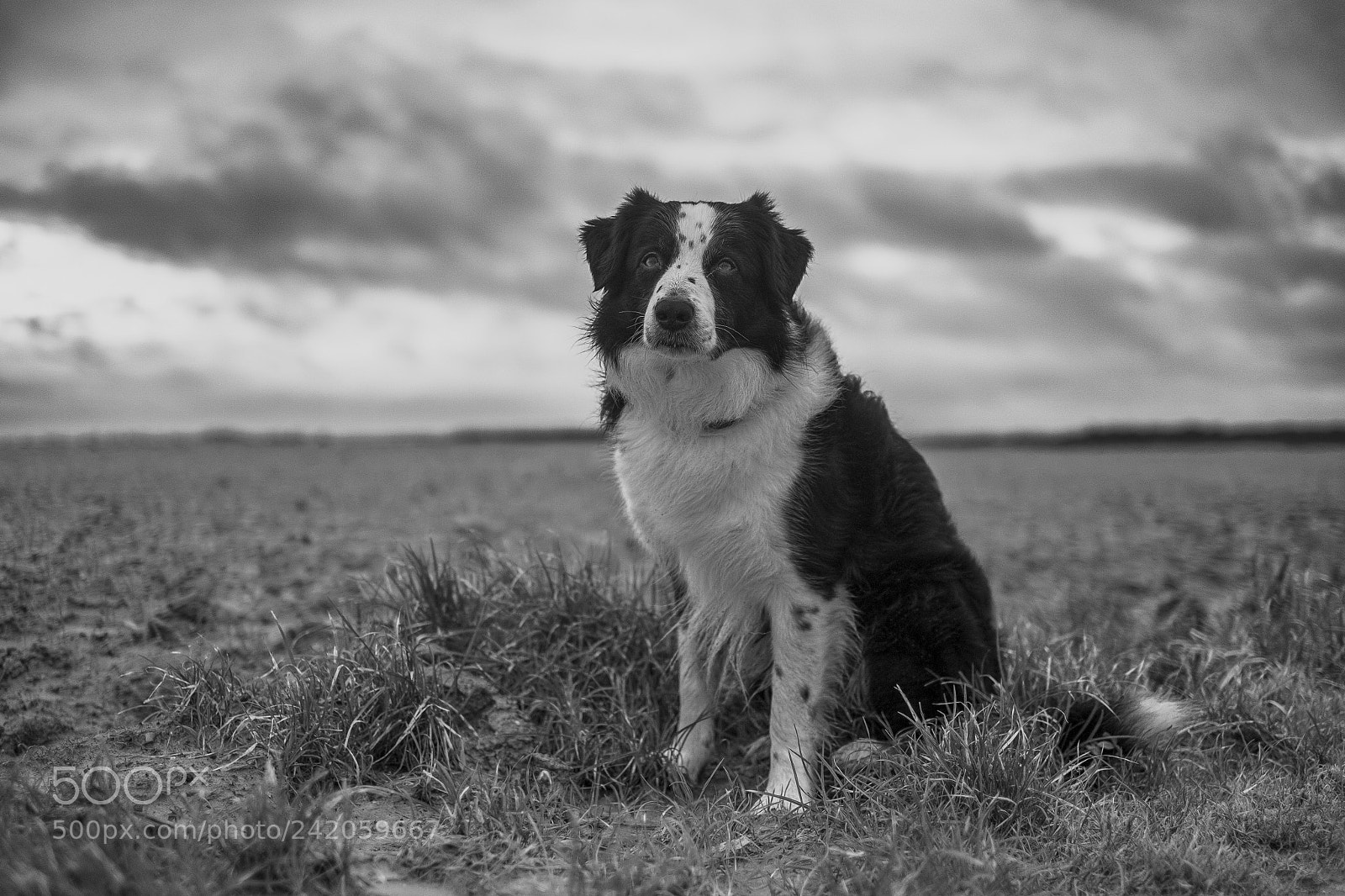 Fujifilm X-Pro1 sample photo. Tothepoint photography