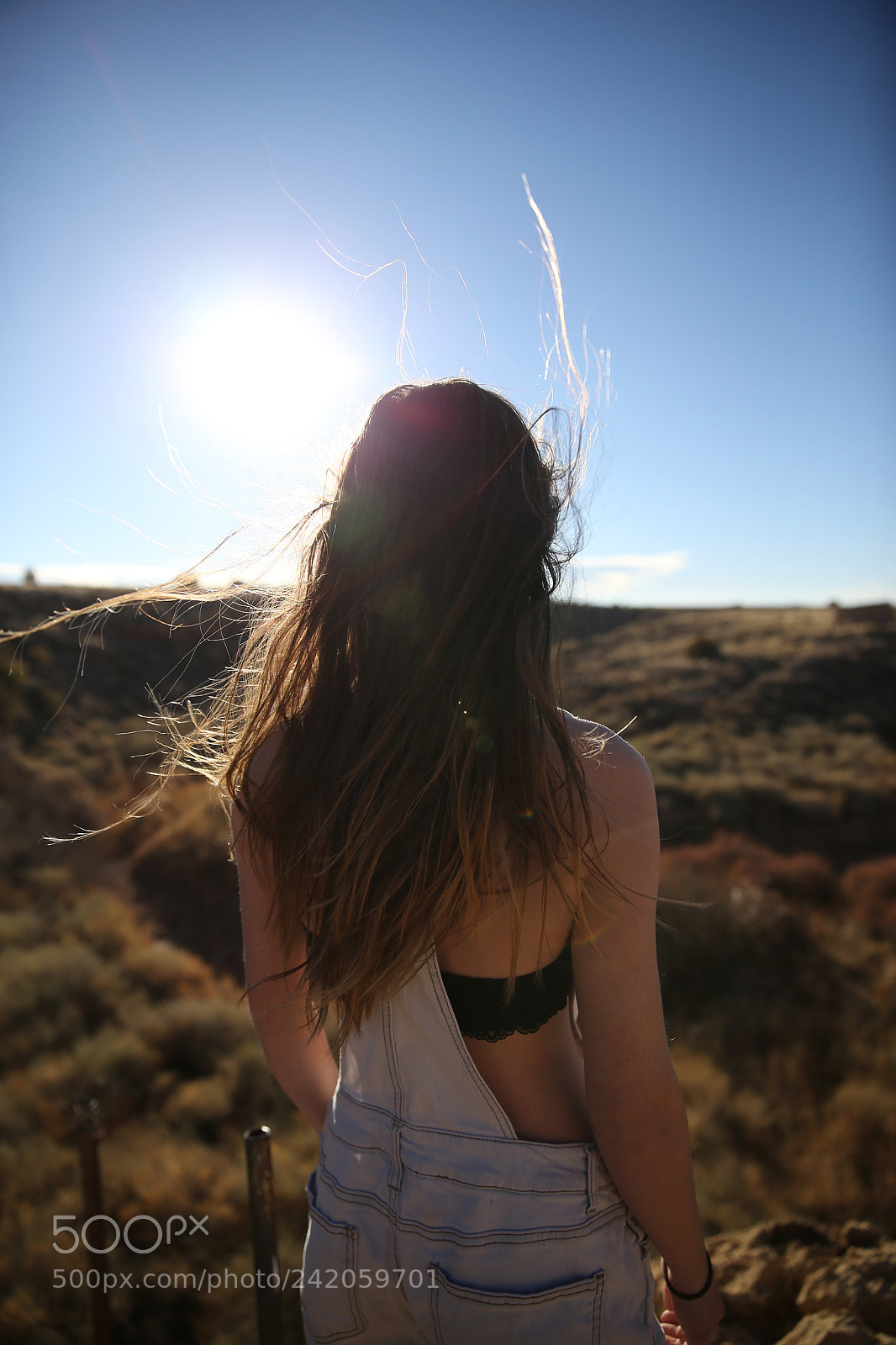 Canon EOS-1D X sample photo. Looking into the light photography