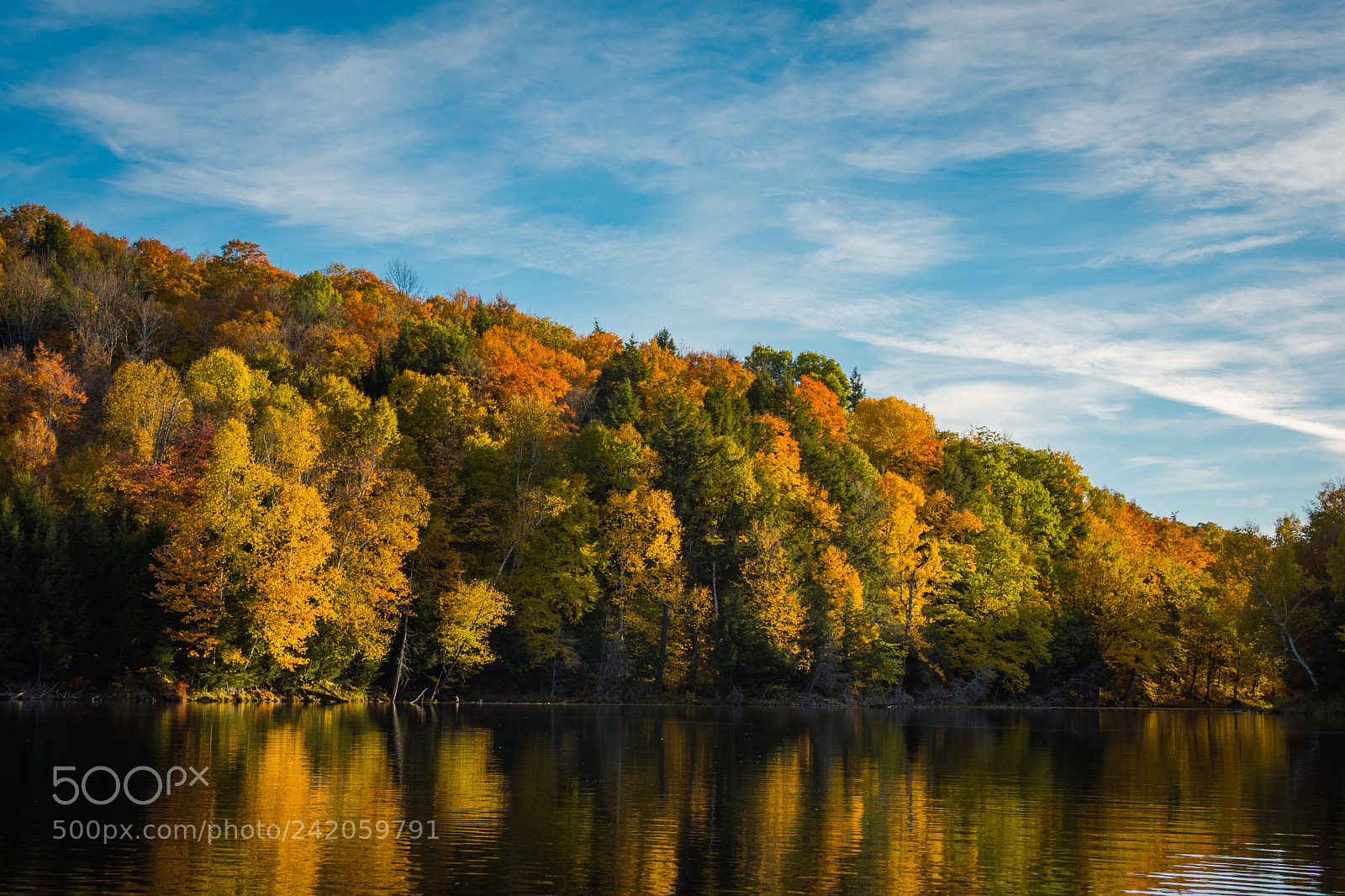 Nikon D7200 sample photo. Autumn colors photography