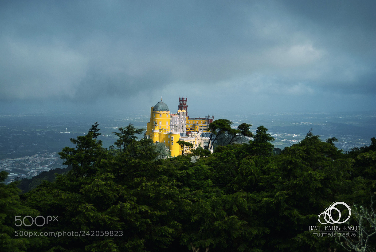 Nikon D80 sample photo. Pena palace yellow photography