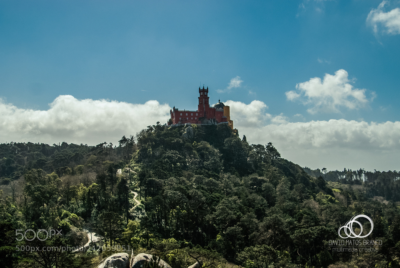 Nikon D80 sample photo. Pena palace red photography