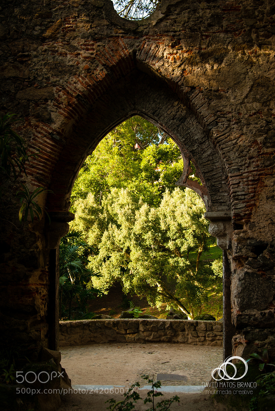 Nikon D80 sample photo. Monserrate park photography