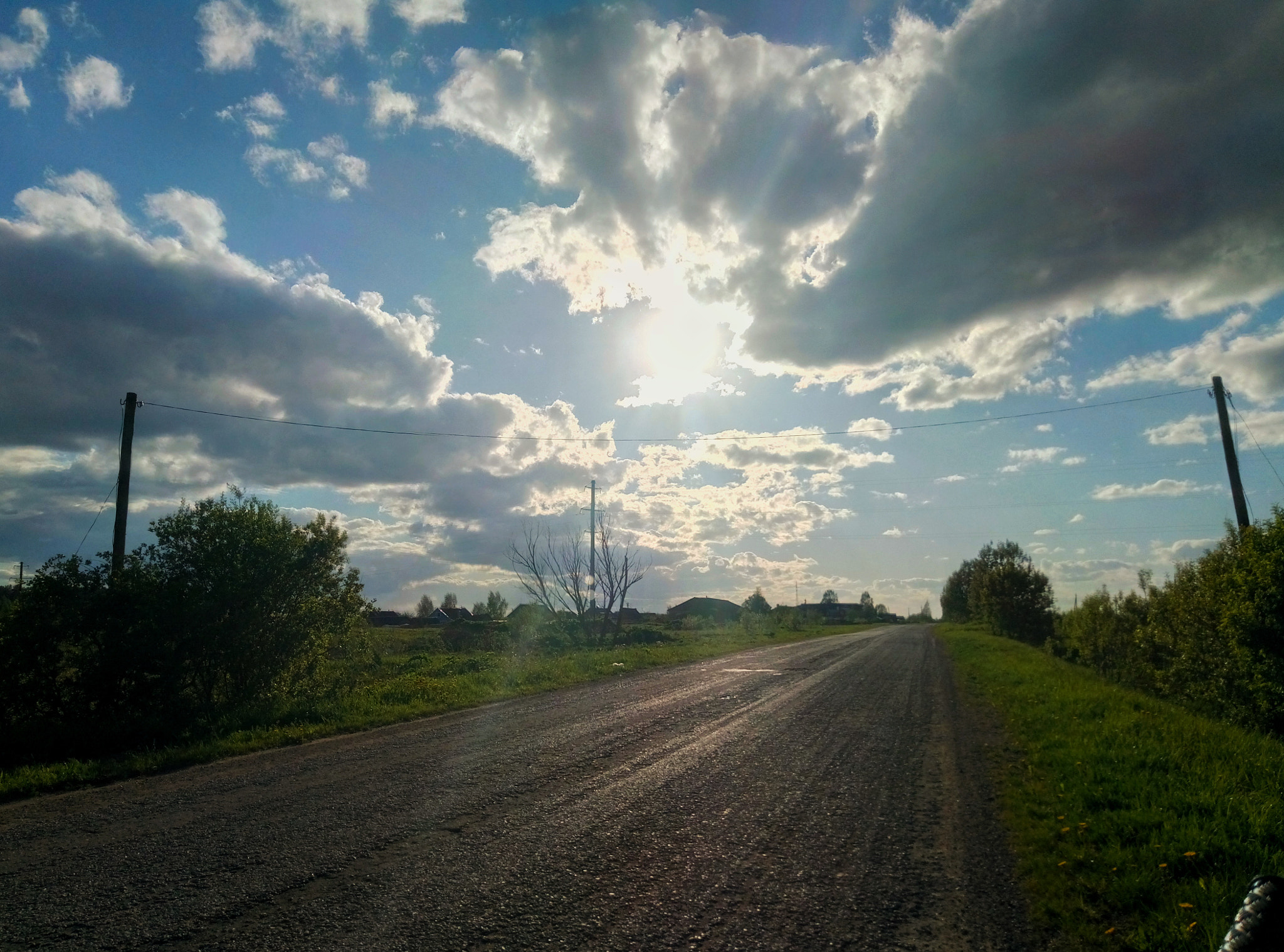 Meizu M3s sample photo. Summer field photography