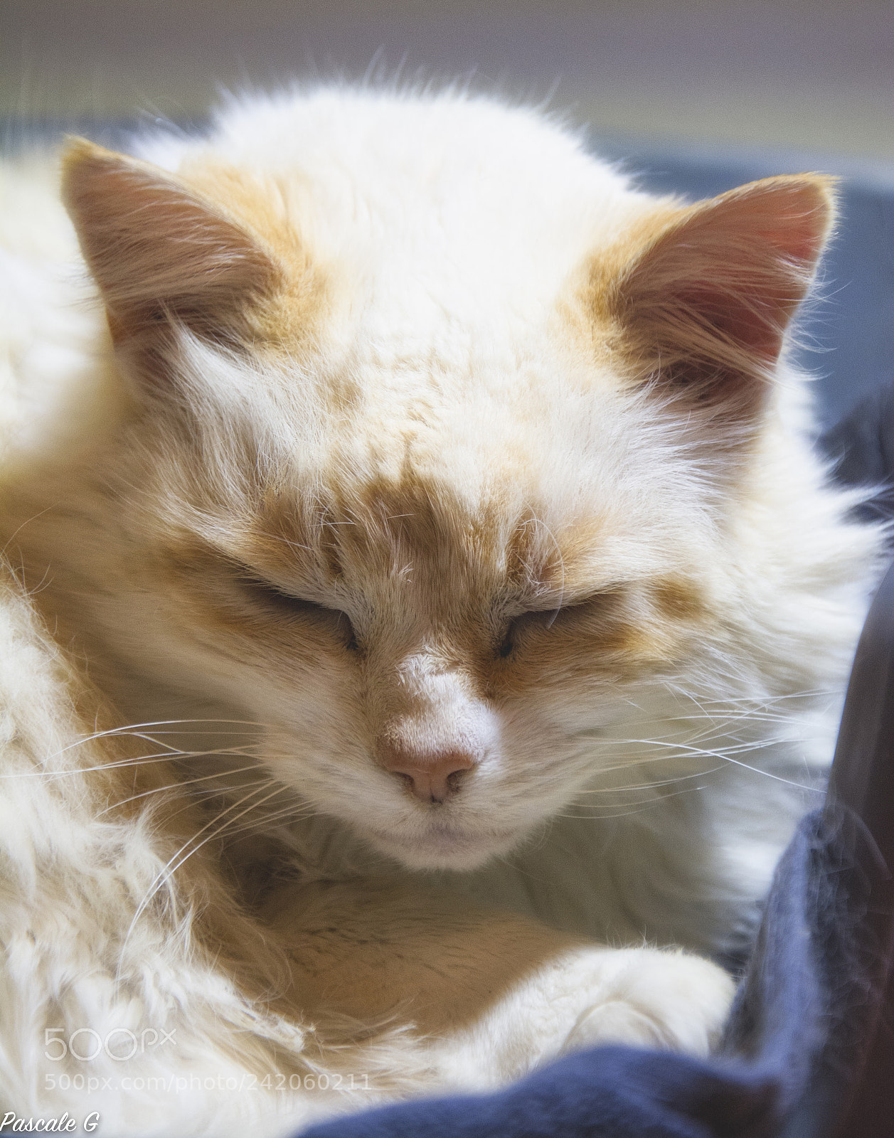 Nikon D7100 sample photo. Neige photography