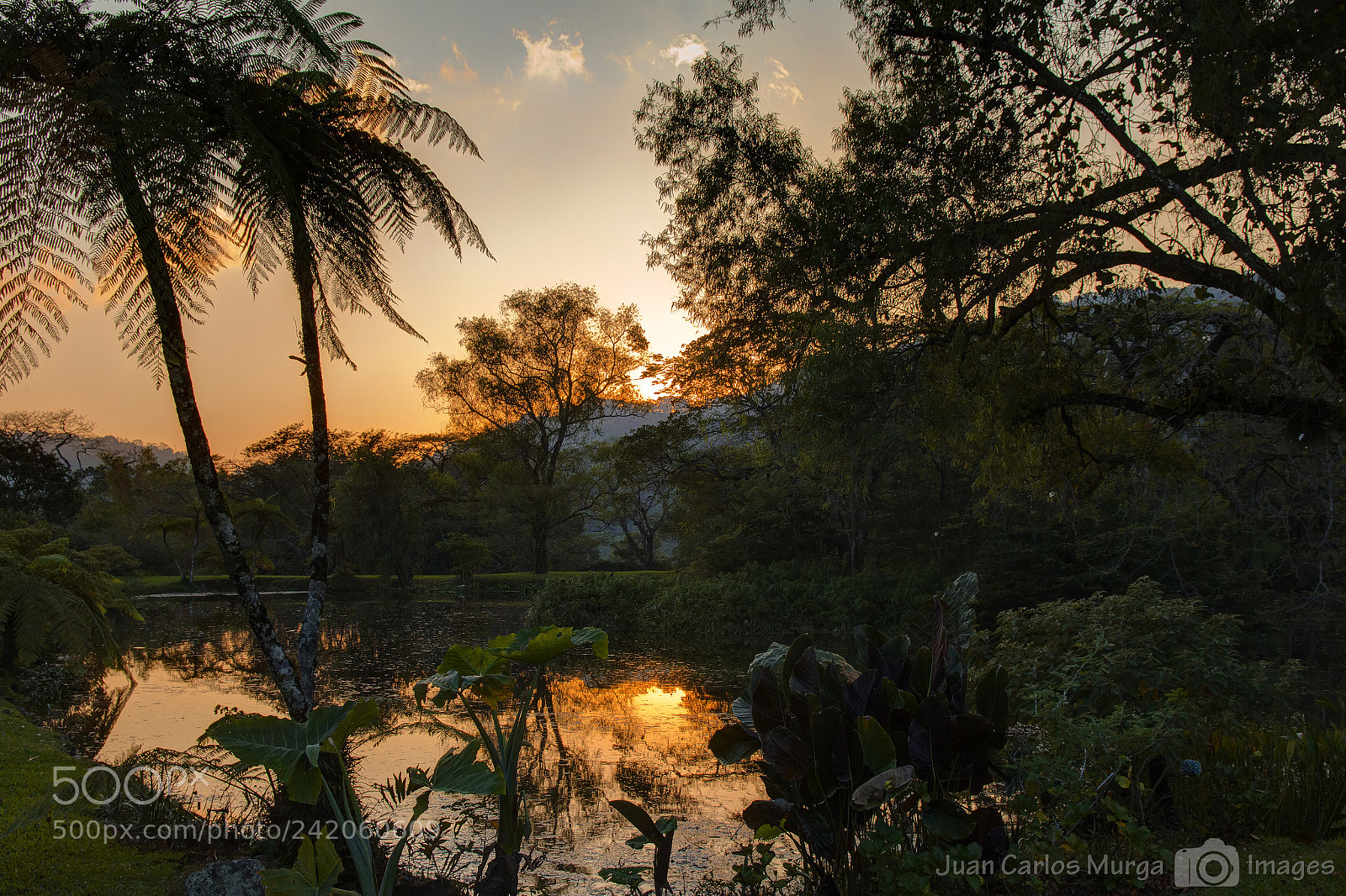 Canon EOS 550D (EOS Rebel T2i / EOS Kiss X4) sample photo. El zapote sunset photography