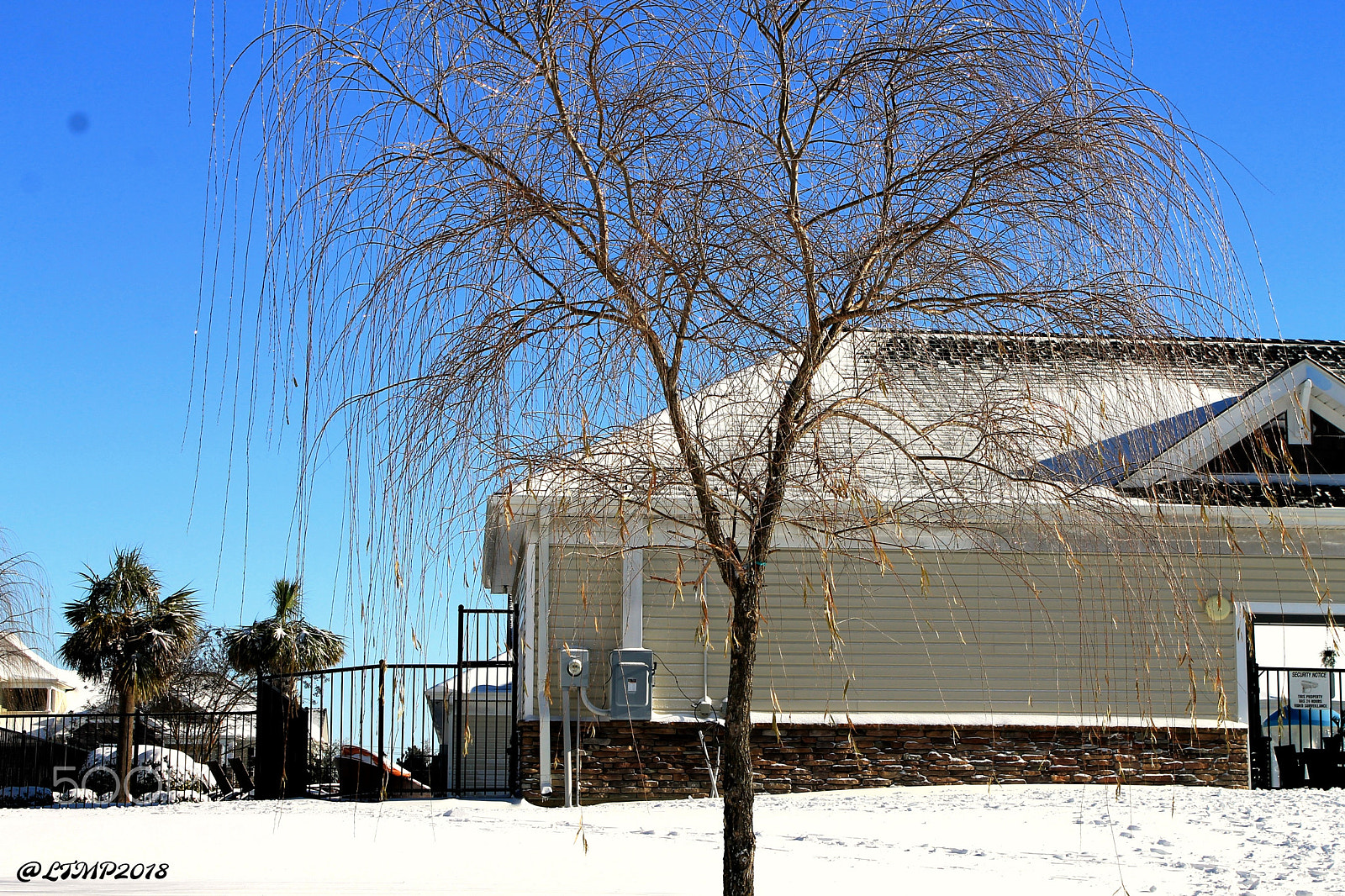 Canon EOS 1100D (EOS Rebel T3 / EOS Kiss X50) sample photo. Lone tree photography