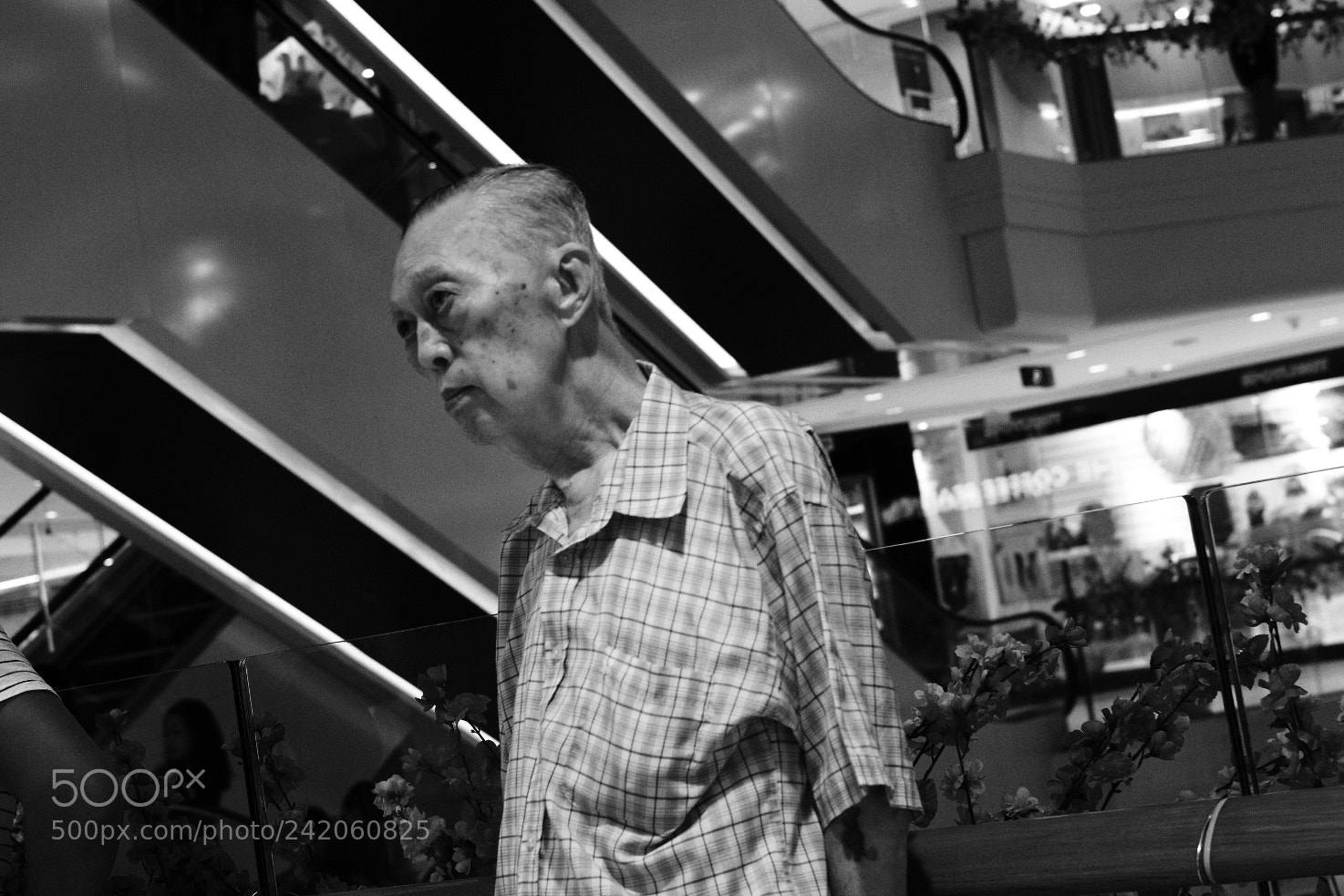Fujifilm X-T2 sample photo. Untitled photography