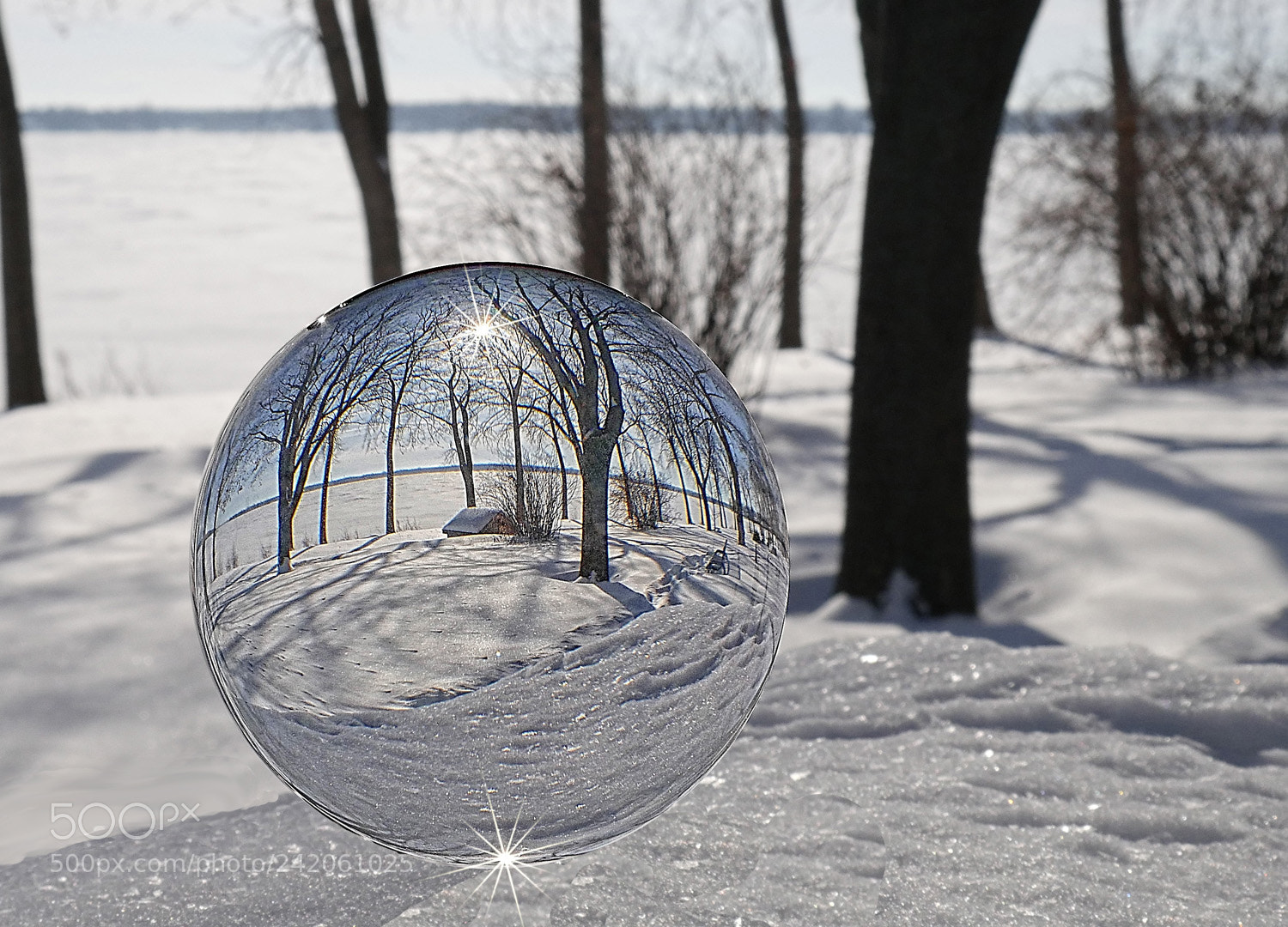 Panasonic Lumix DMC-G7 sample photo. Winter photography