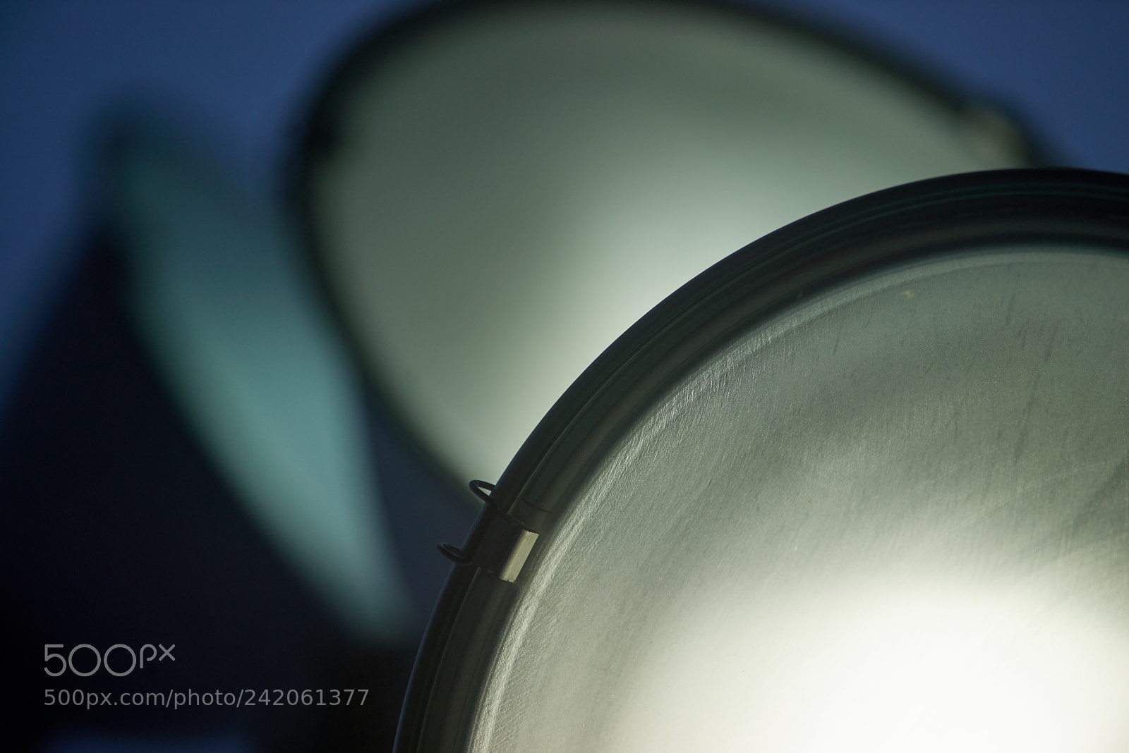 Nikon D800 sample photo. Spots photography