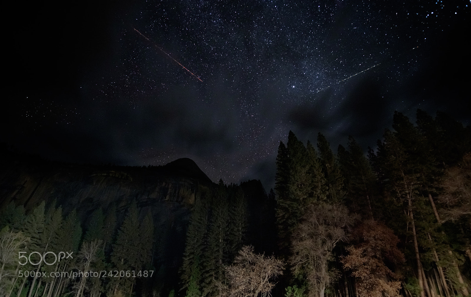Fujifilm X-T1 sample photo. Xt1f2568.jpg photography