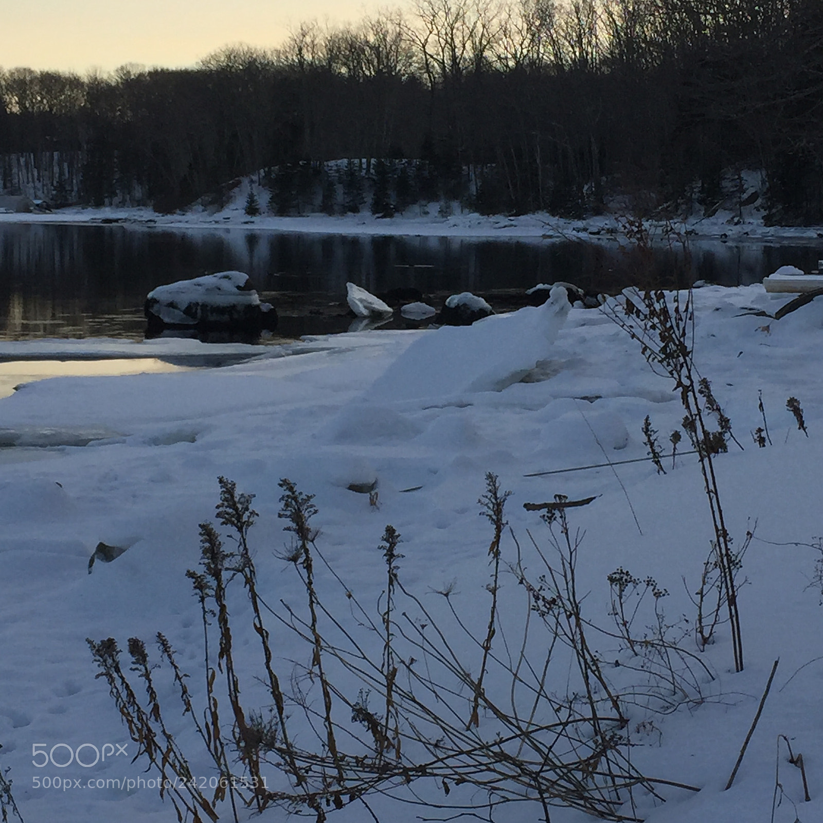 Apple iPhone 6 sample photo. The lovely snow photography