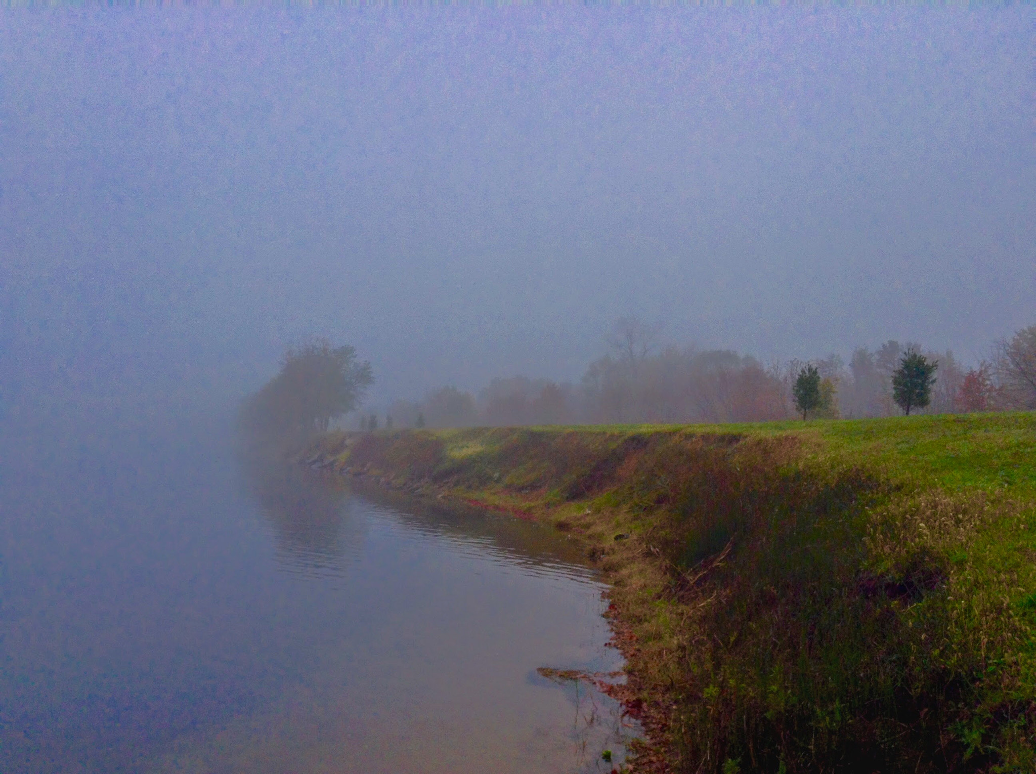 Apple iPad mini sample photo. A foggy morning photography