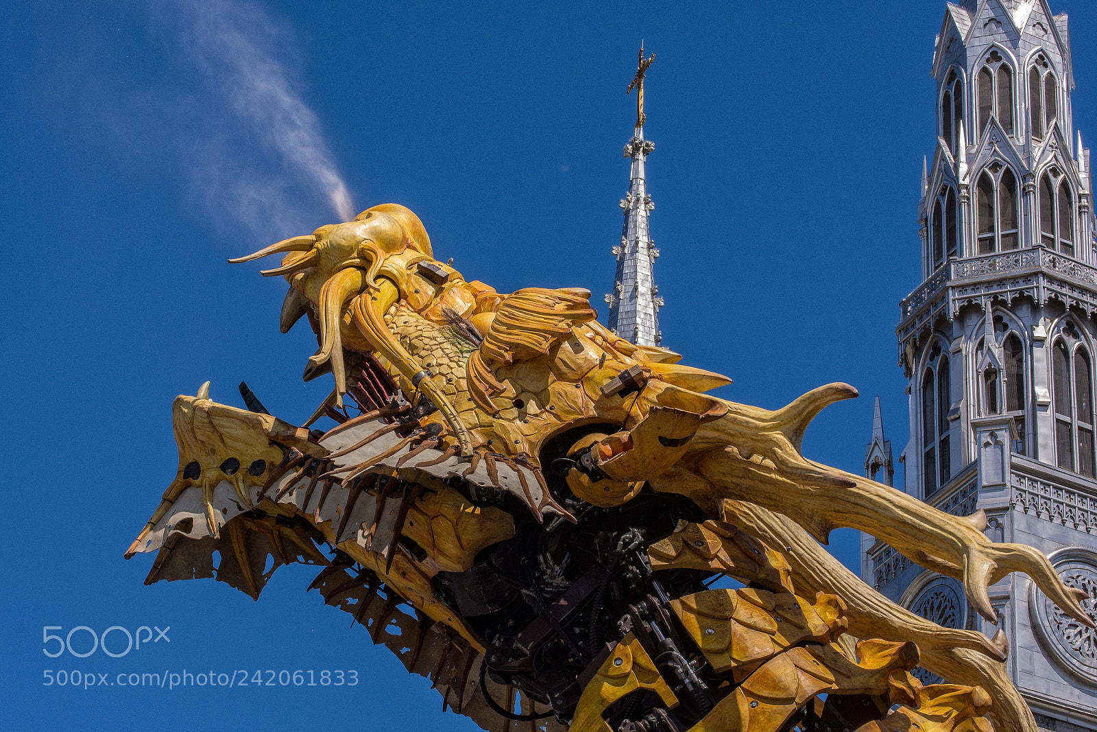 Nikon D7200 sample photo. The dragon roars photography