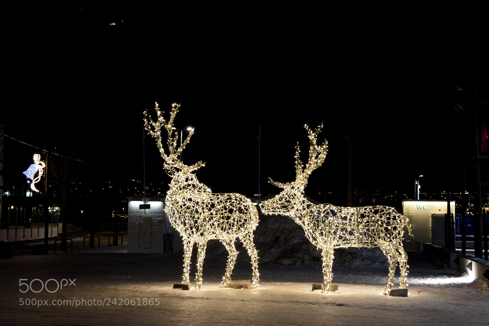 Nikon D7200 sample photo. Tromso photography