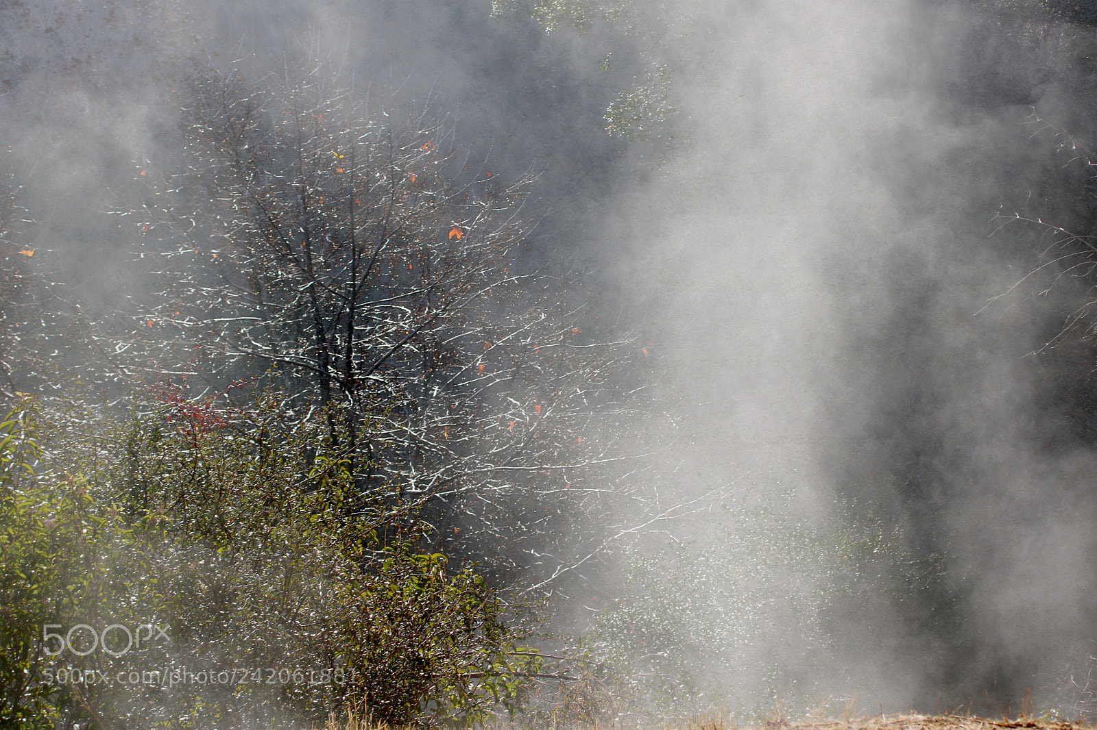Canon EOS 750D (EOS Rebel T6i / EOS Kiss X8i) sample photo. Mist rising along the photography