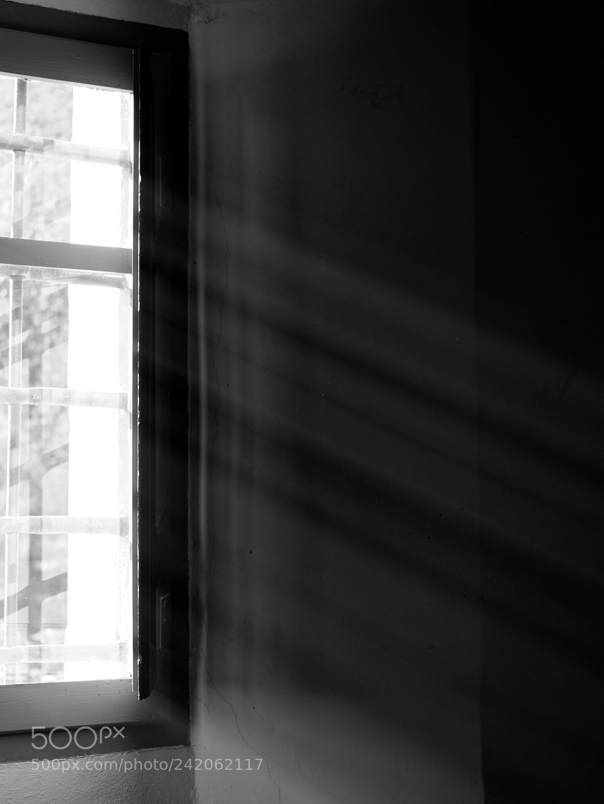 Fujifilm X-T10 sample photo. Untitled photography