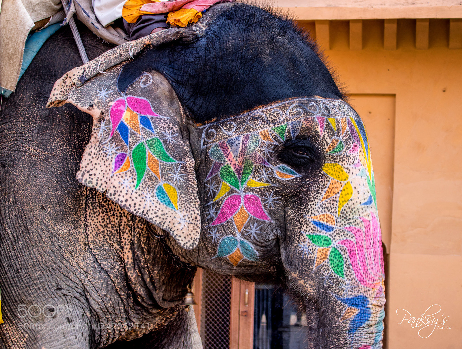Canon EOS 750D (EOS Rebel T6i / EOS Kiss X8i) sample photo. Elephant rides at amber photography