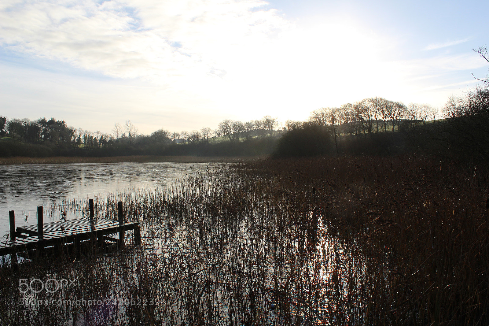 Canon EOS 1300D (EOS Rebel T6 / EOS Kiss X80) sample photo. Birragh, kingscourt ireland photography