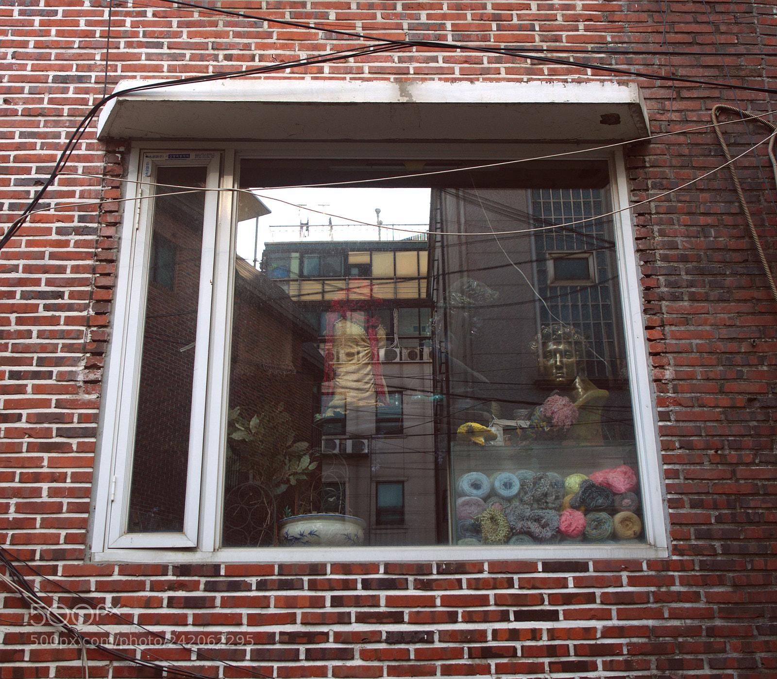 Olympus PEN-F sample photo. The dream of the photography