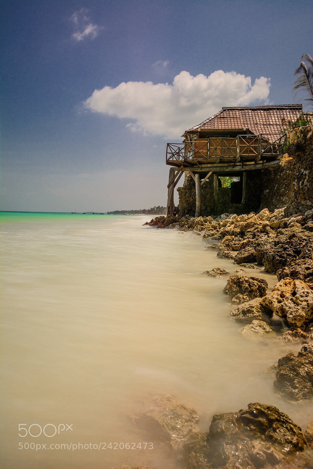 Nikon D7100 sample photo. Relax photography