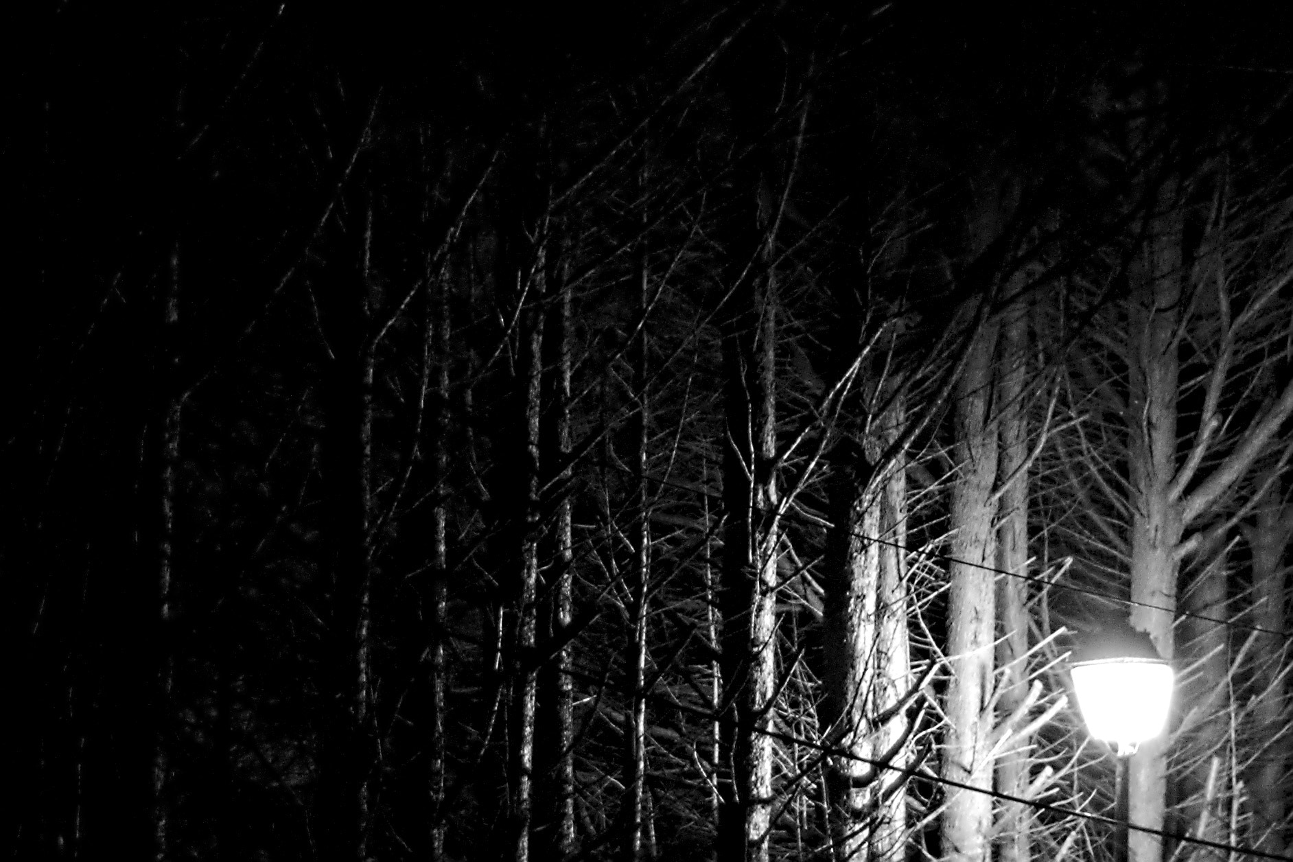 Canon 50mm sample photo. Suivre la lumière? photography
