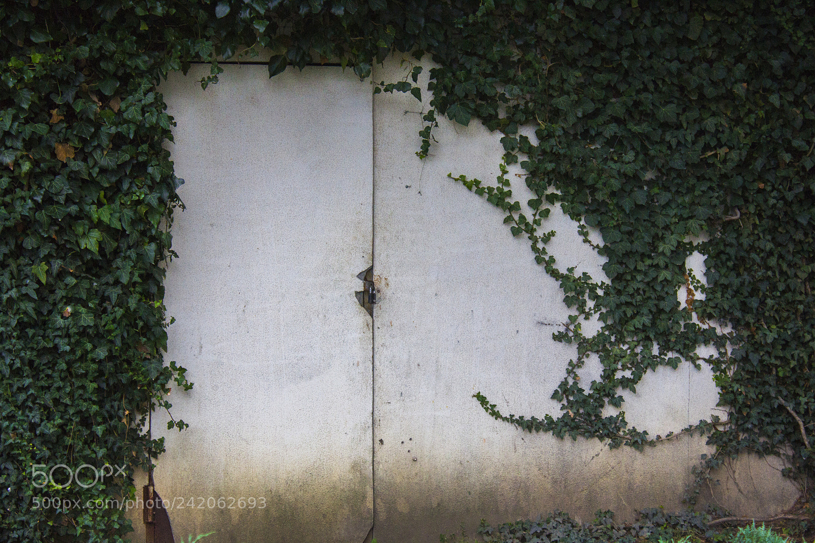 Canon EOS 60D sample photo. The door photography