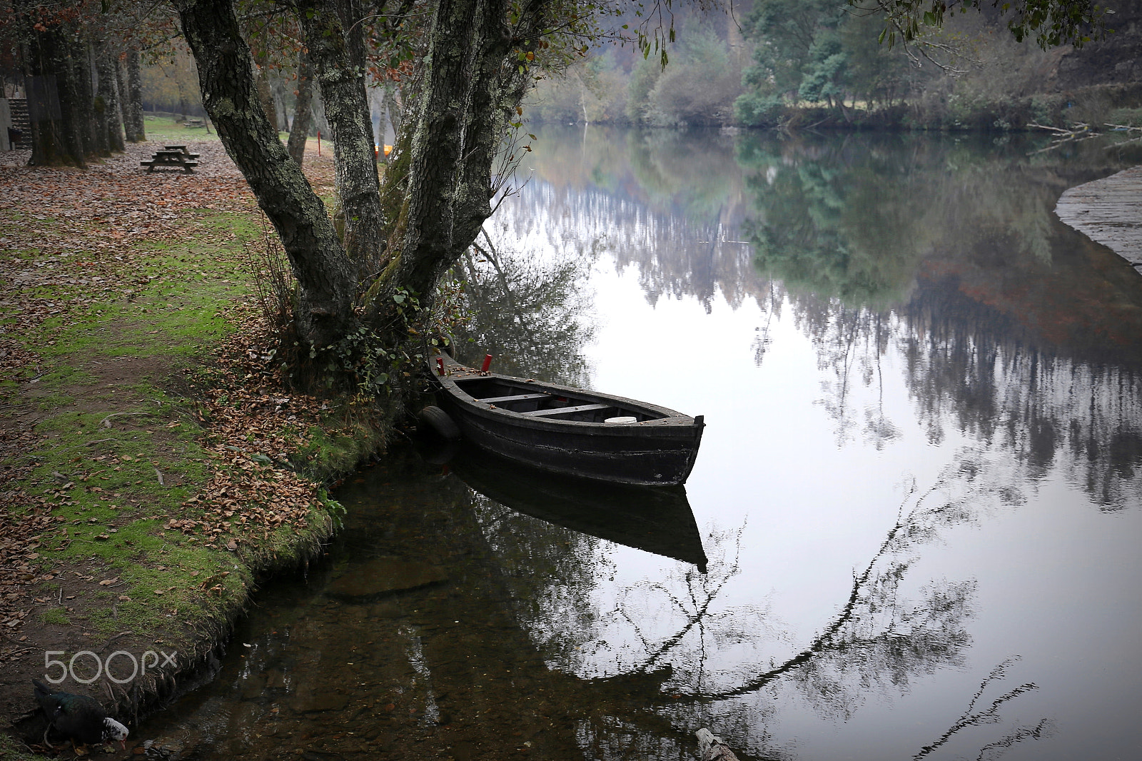 Canon EF 24-105mm F3.5-5.6 IS STM sample photo. Silence photography