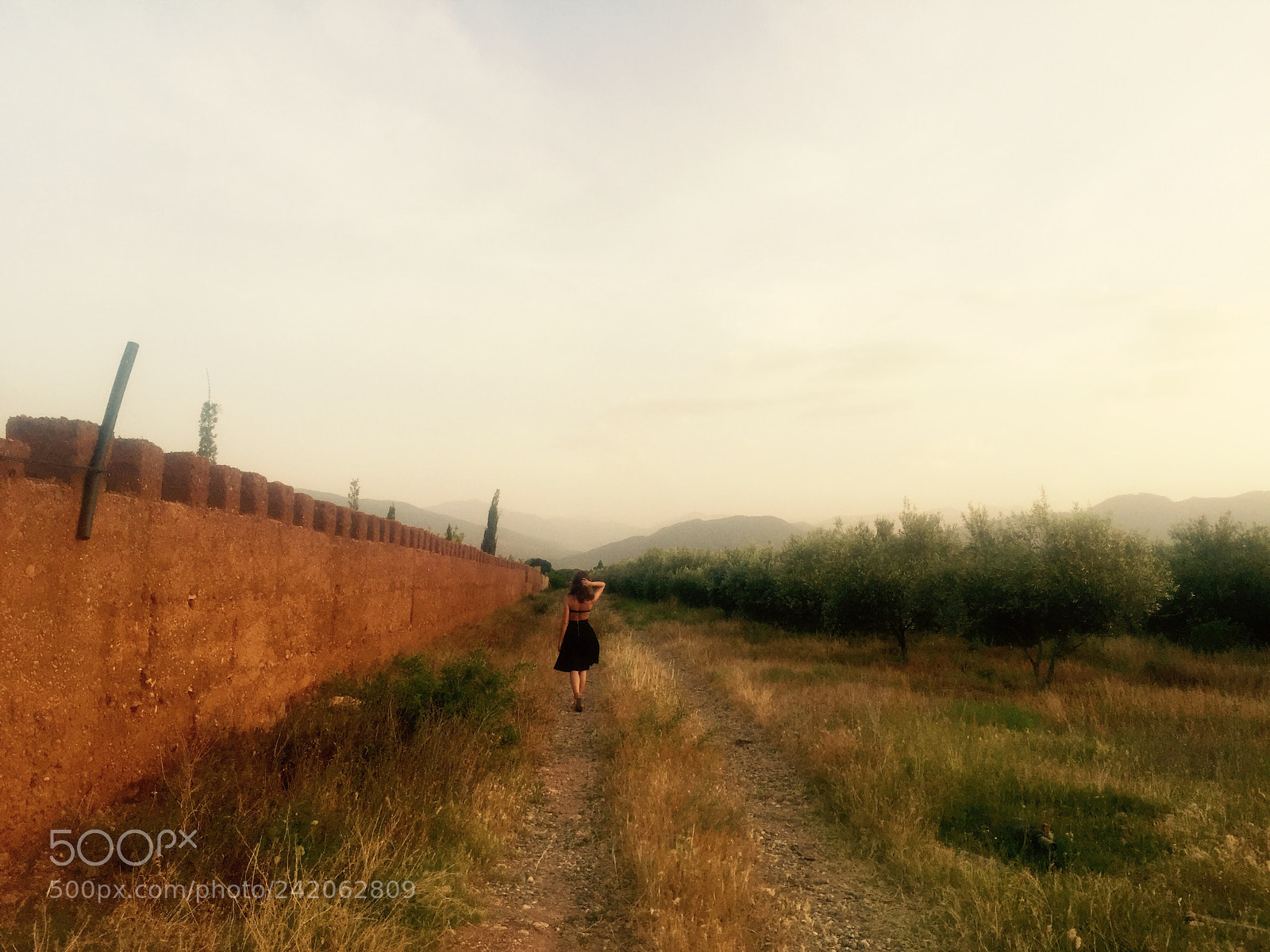Apple iPhone 6 sample photo. Days of heaven photography