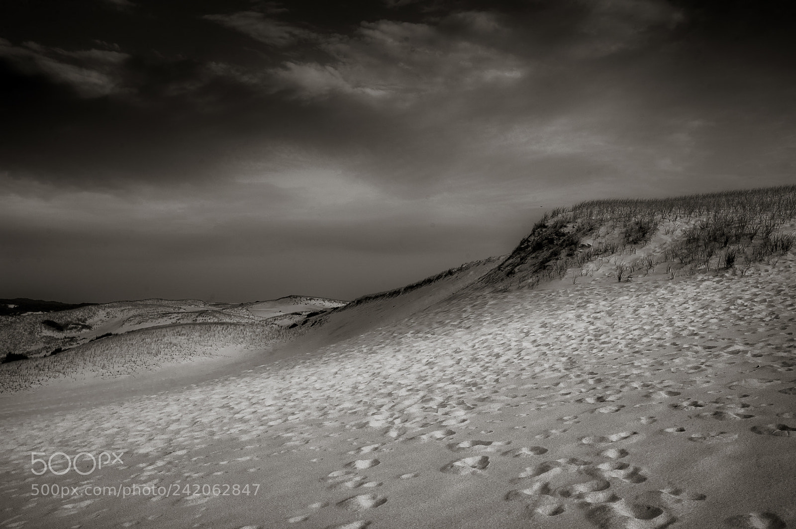 Nikon D700 sample photo. Cape cod dunes, footsteps photography