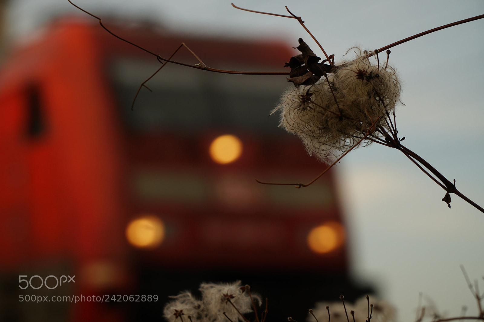 Sony a6500 sample photo. Klein&groß photography