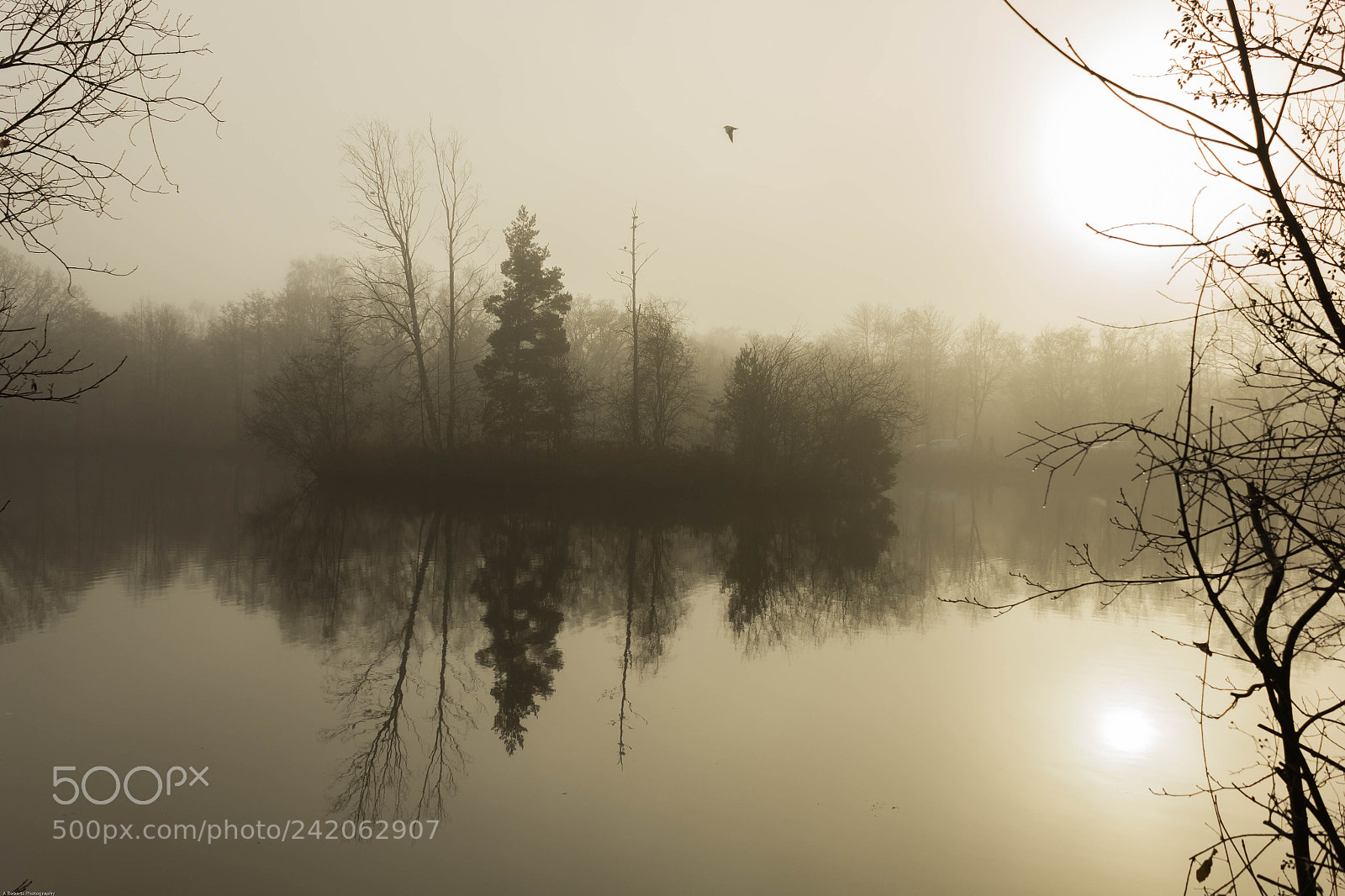 Canon EOS 550D (EOS Rebel T2i / EOS Kiss X4) sample photo. Misty lake photography