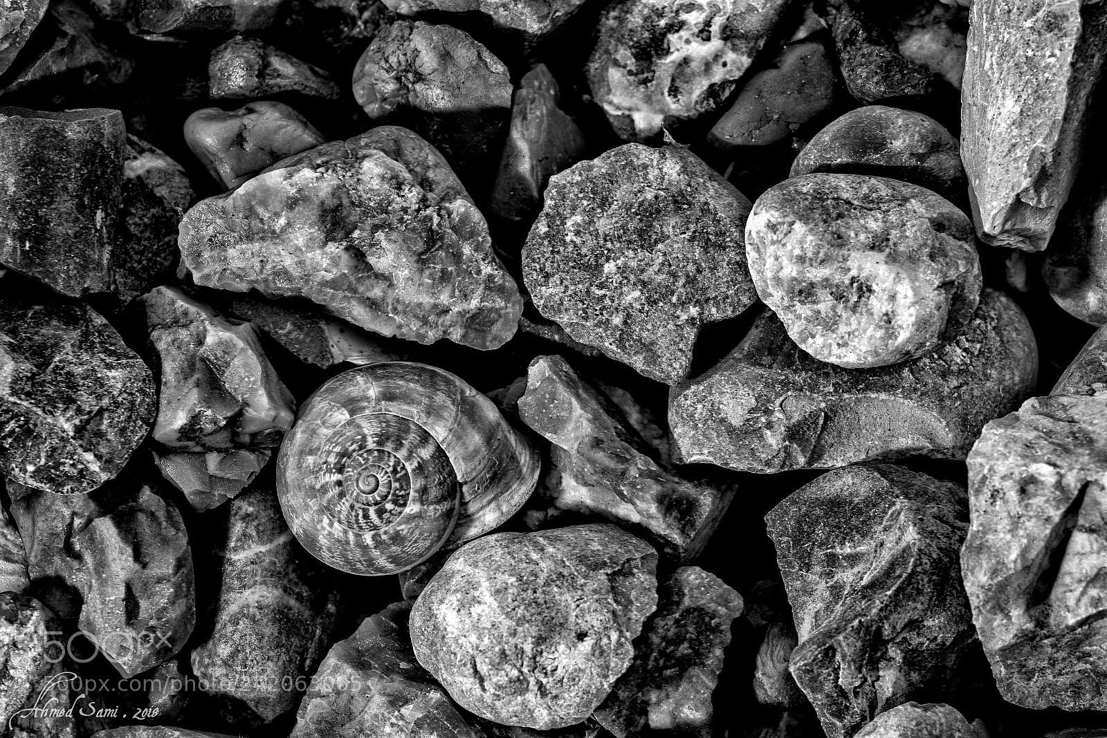 Nikon D7100 sample photo. Hiding photography