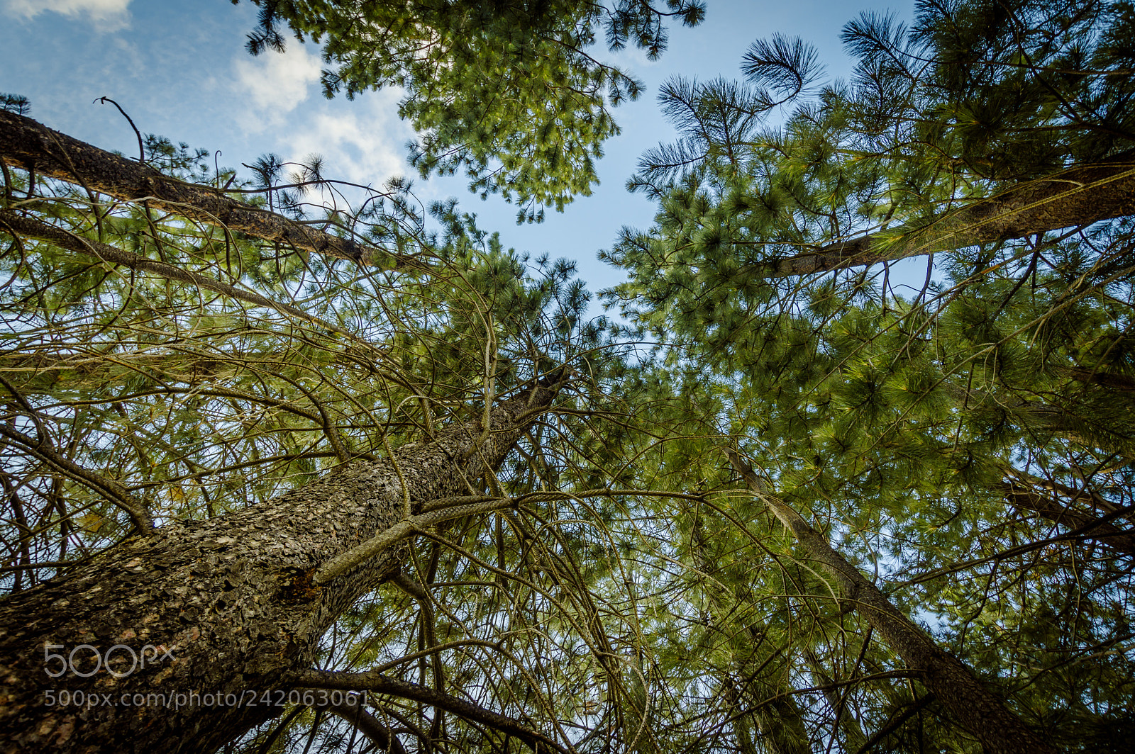 Pentax K-3 II sample photo. Serie patagonia photography