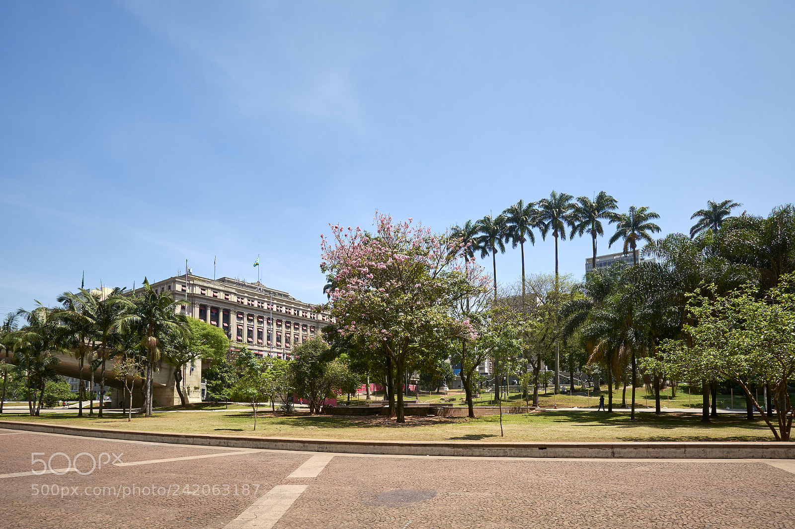 Nikon D7100 sample photo. Sao paulo city, anhangabau photography