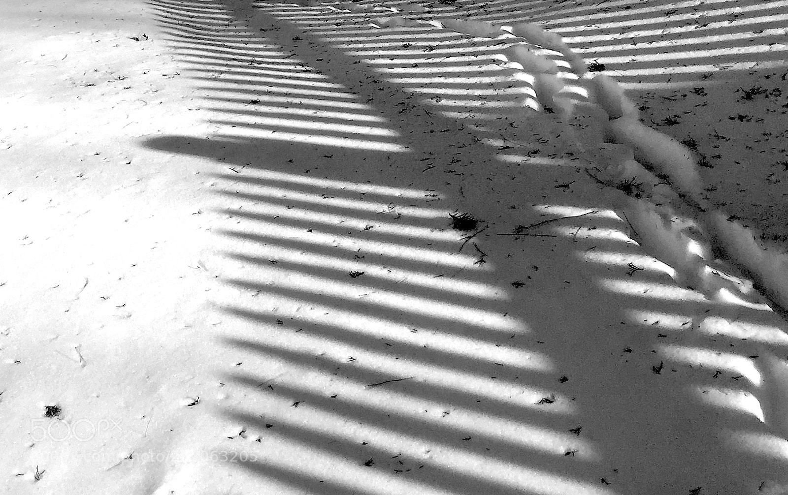 Apple iPhone 6 Plus sample photo. Shadows in the snow photography