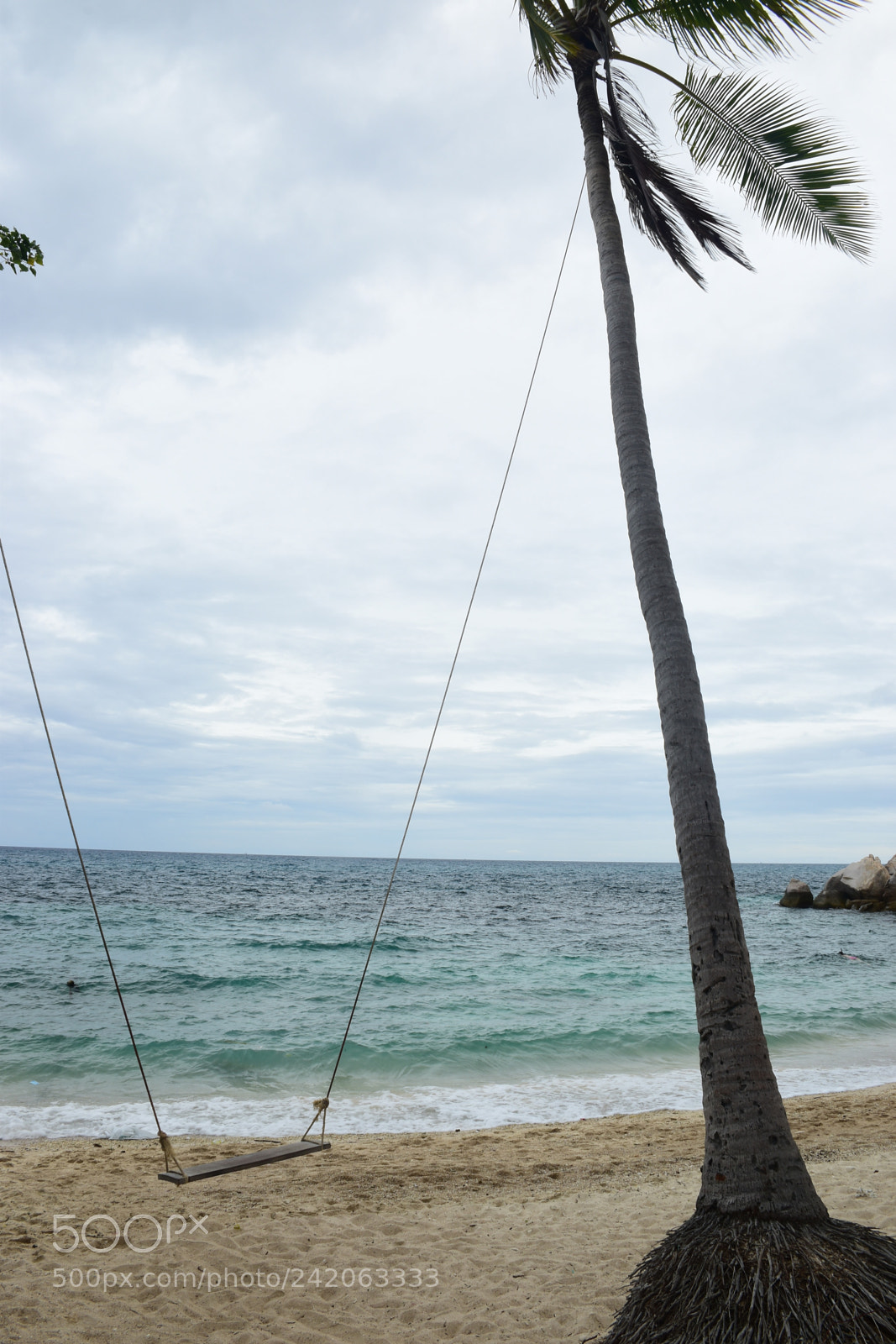 Nikon D5500 sample photo. Perfect spot photography