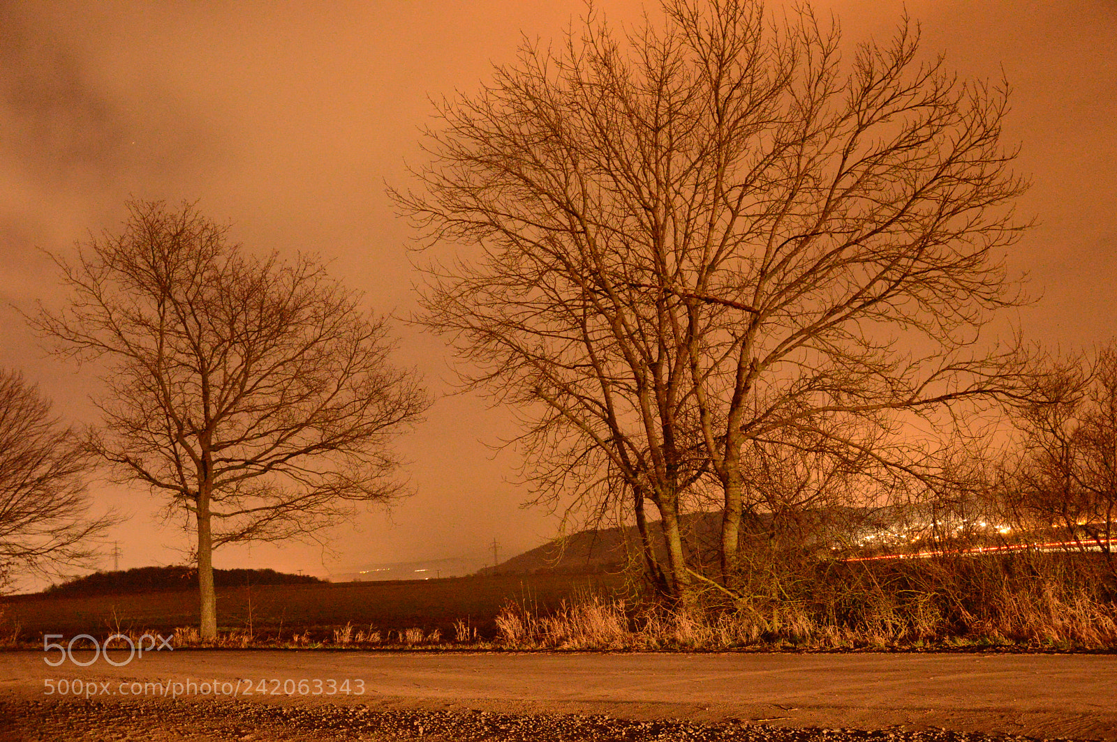 Nikon D3200 sample photo. Untitled photography