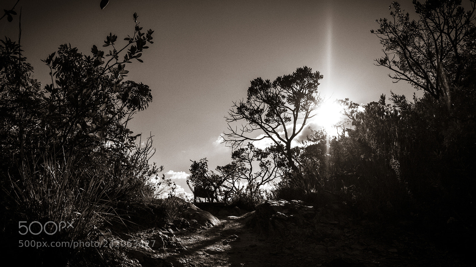 Canon EOS 60D sample photo. Escuro photography