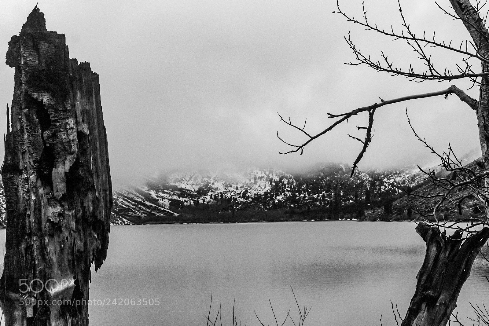 Fujifilm X-T2 sample photo. Foggy winter day photography