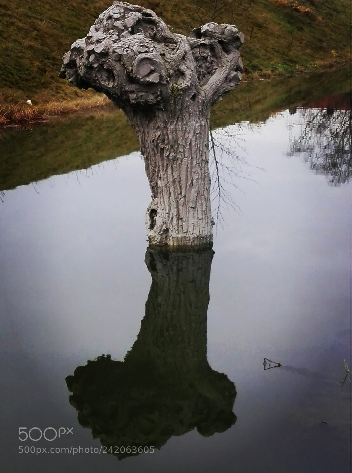 HUAWEI P8 Lite sample photo. Reflection photography
