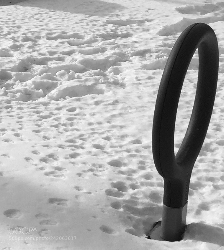 Apple iPhone 6 Plus sample photo. Something in the snow photography