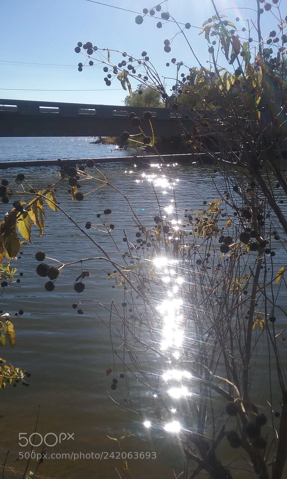 Samsung Galaxy J1 sample photo. Riverbank photography