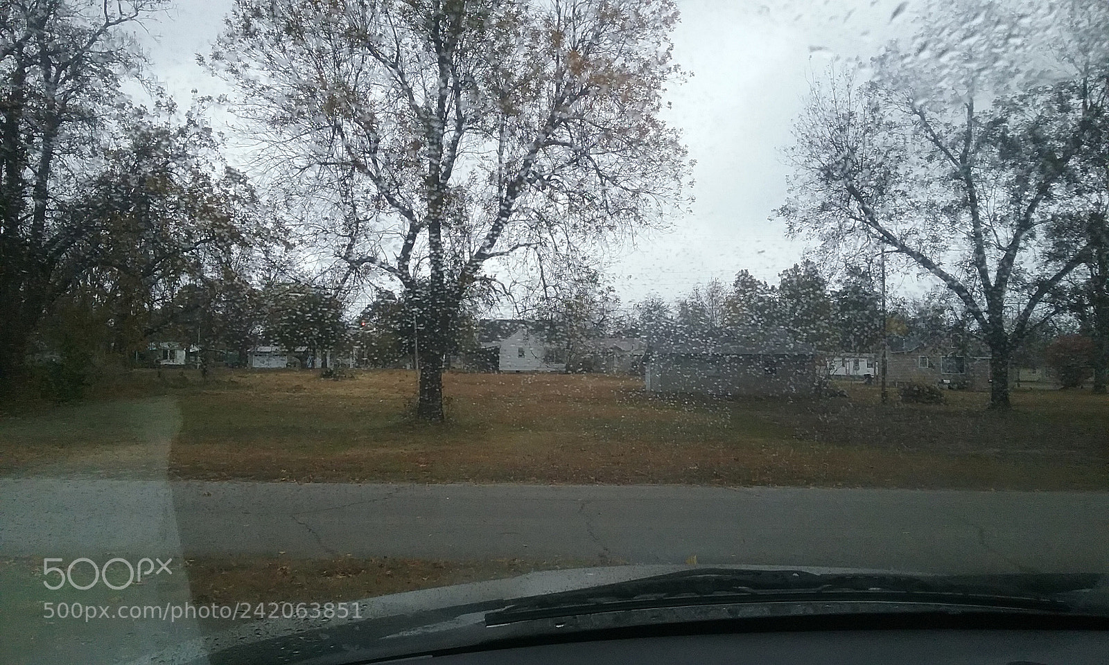Samsung Galaxy J1 sample photo. Rainy day photography