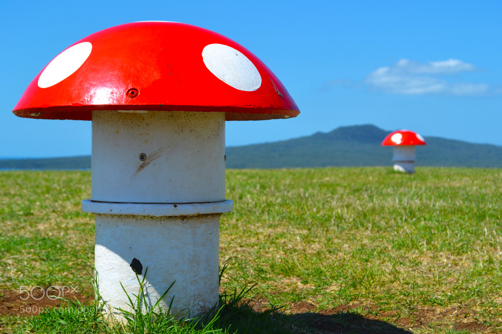 Nikon D3100 sample photo. Mt victoria photography